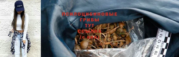 каннабис Покачи