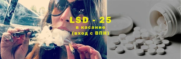 стаф Сим