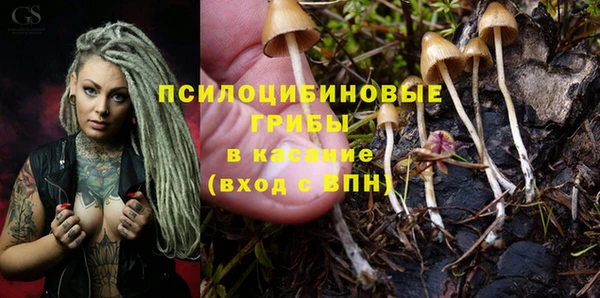 2c-b Покров